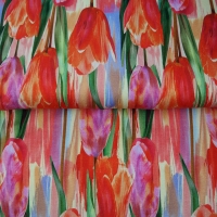 25808-11VI "tulips from Holland"