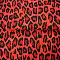 24031-11 ''Fancy Leopard''