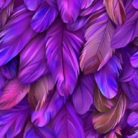 24980-14 ''Bold Feathers''