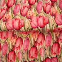 25907-12 ''Tulip Field'' print