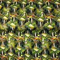 24206-10PL ''Mushroom Forest''