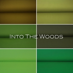 18600 ''Into The Woods'' Package Deal