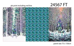 24567 ''Fairytale Forest''
