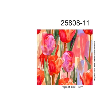 25808-11VI "tulips from Holland"