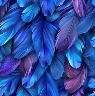 24980-09 ''Bold Feathers''