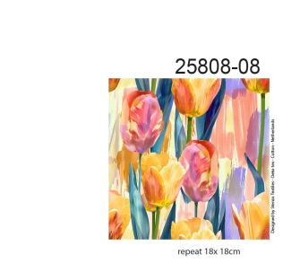 25808-08VI "tulips from Holland"