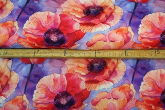 25855-14 ''Into the Poppy Fields'' print