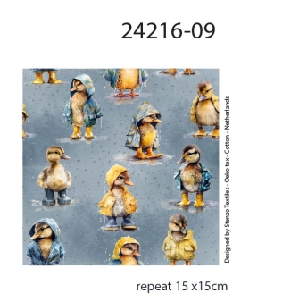 24216-09 ''Raincoat Ducklins''