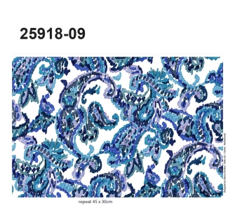 25918-09 ''Paisley Waterpaint'' print