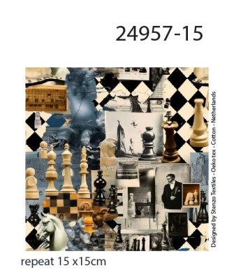 24957-15 ''Wanna Play Chess''