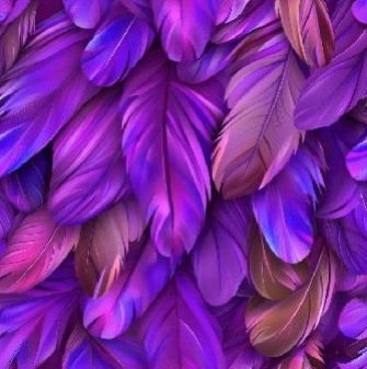 24980-14 ''Bold Feathers''