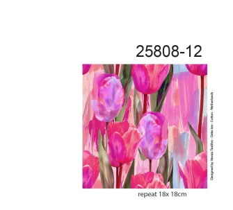 25808-12VI "tulips from Holland"