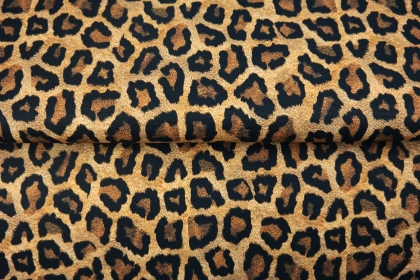 24031-33CAN ''Leopard''