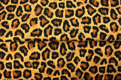 24031-33 ''Fancy Leopard''