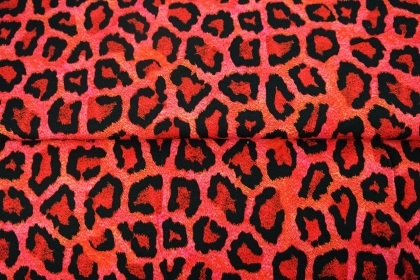 24031-11 ''Fancy Leopard''