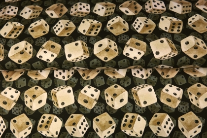 24500-20FT ''Dices