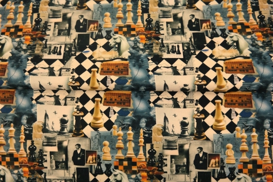 24957-15 ''Wanna Play Chess''