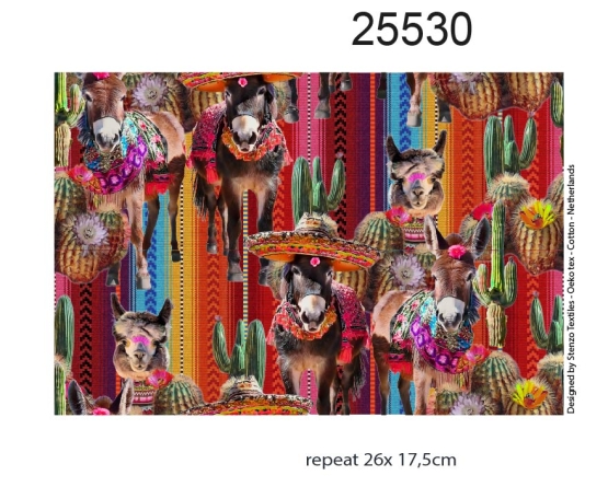 25530 "Mexicana "printed canvas